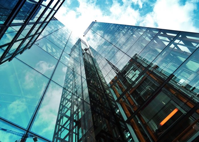 PROTECTION OF THE RIGHTS OF THE SHAREHOLDERS IN A JOINT STOCK COMPANY
