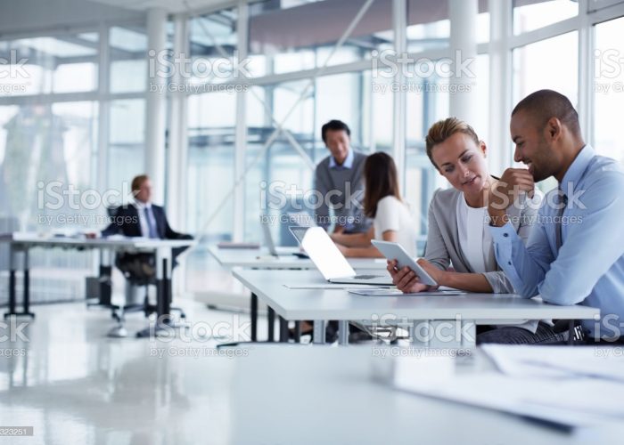 MATERIAL LIABILITY OF THE MANAGER OF LLC FOR DAMAGES CAUSED TO THE COMPANY